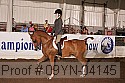 09yn-04145 proof