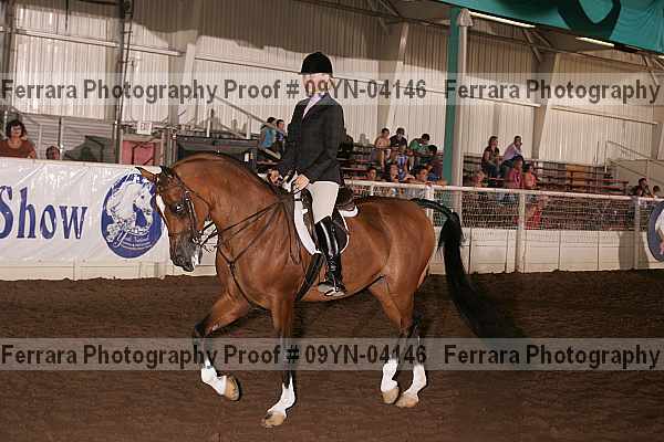 Proof 09yn-04146