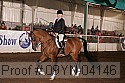 09yn-04146 proof