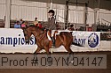 09yn-04147 proof