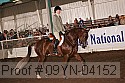 09yn-04152 proof