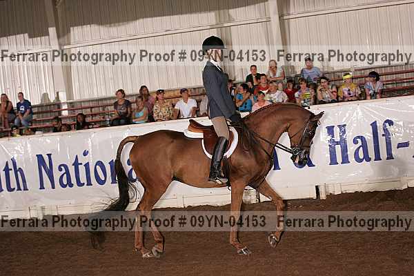 Proof 09yn-04153