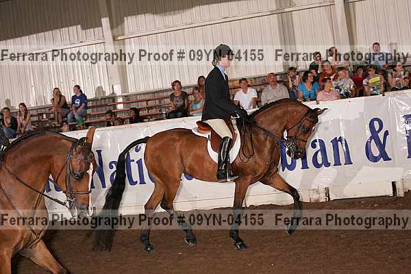 Proof 09yn-04155