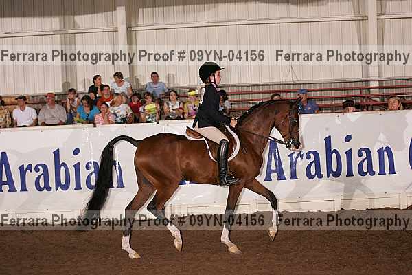 Proof 09yn-04156