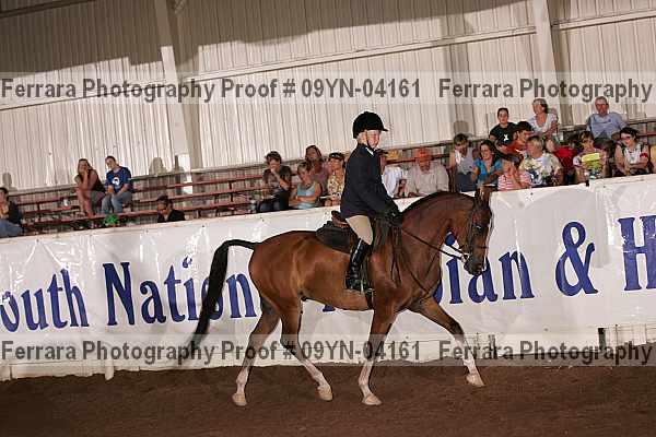 Proof 09yn-04161