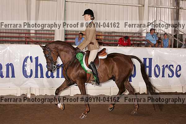 Proof 09yn-04162