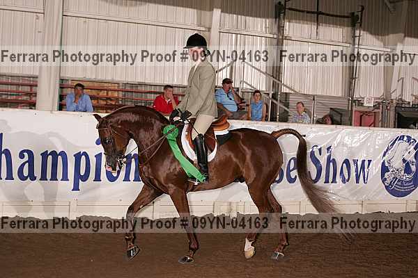 Proof 09yn-04163