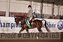 09yn-04163 proof