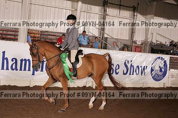 Proof 09yn-04164