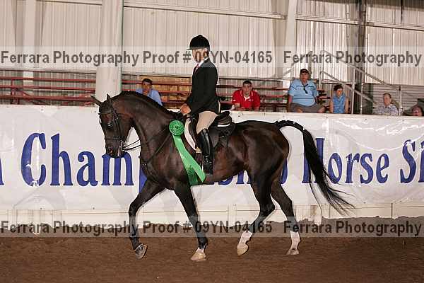 Proof 09yn-04165