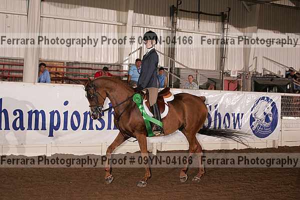 Proof 09yn-04166