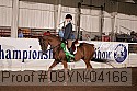 09yn-04166 proof