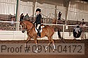 09yn-04172 proof
