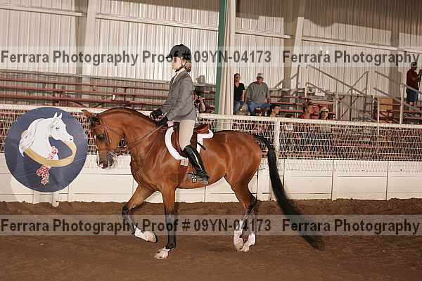 Proof 09yn-04173