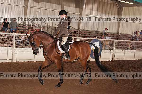 Proof 09yn-04175