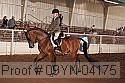 09yn-04175 proof