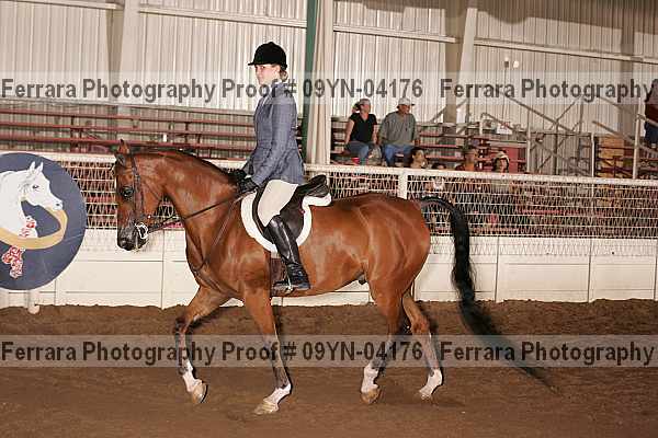 Proof 09yn-04176
