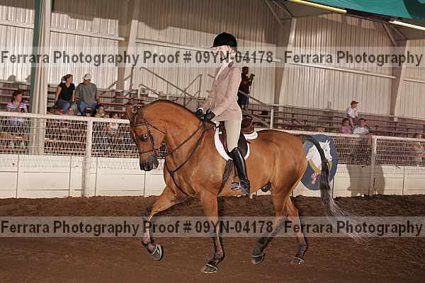 Proof 09yn-04178
