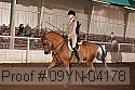 09yn-04178 proof