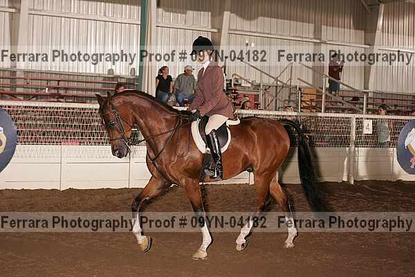 Proof 09yn-04182