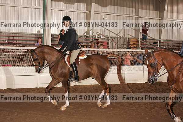 Proof 09yn-04183
