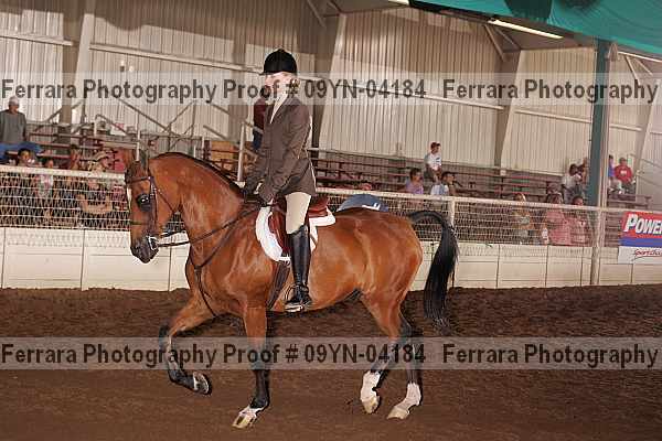 Proof 09yn-04184