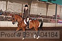 09yn-04184 proof
