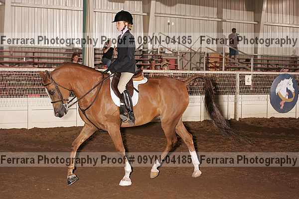 Proof 09yn-04185