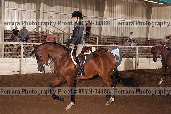 Proof 09yn-04186