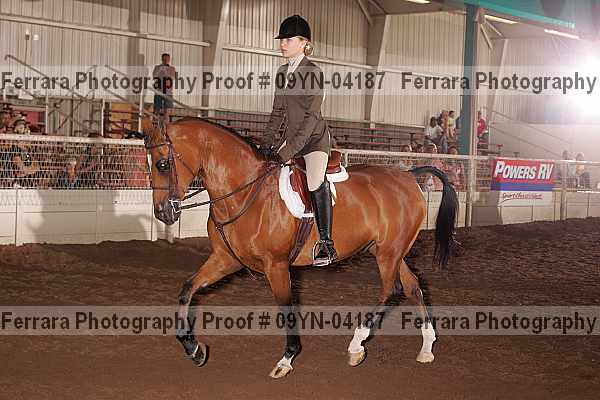 Proof 09yn-04187