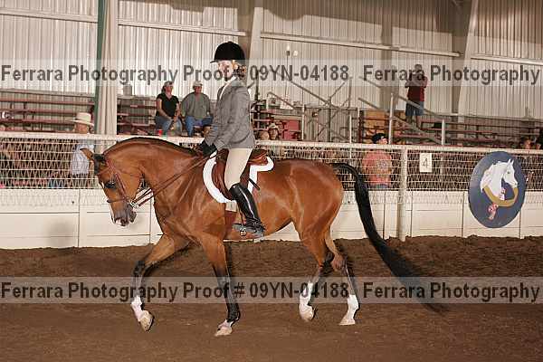 Proof 09yn-04188