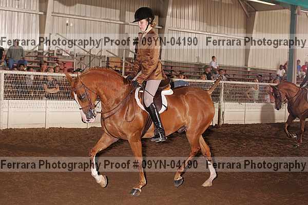 Proof 09yn-04190