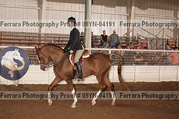 Proof 09yn-04191