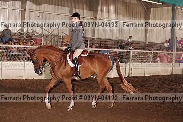 Proof 09yn-04192