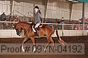 09yn-04192 proof