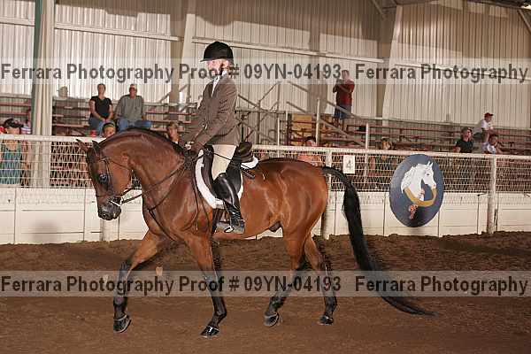 Proof 09yn-04193