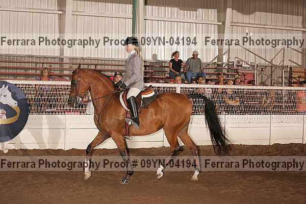 Proof 09yn-04194