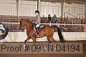 09yn-04194 proof
