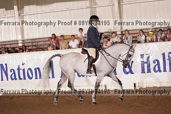 Proof 09yn-04195
