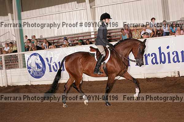 Proof 09yn-04196