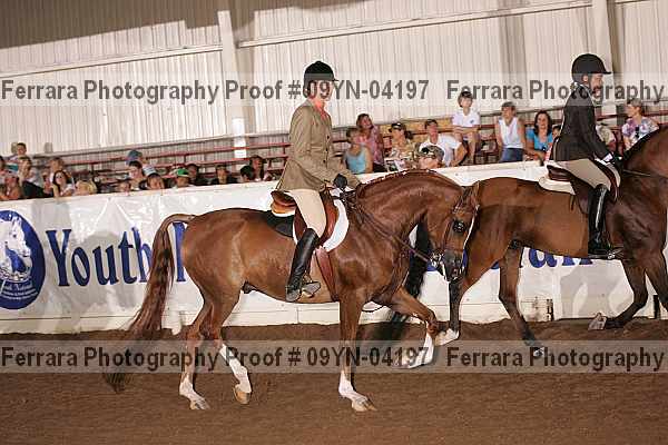 Proof 09yn-04197