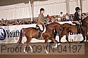 09yn-04197 proof