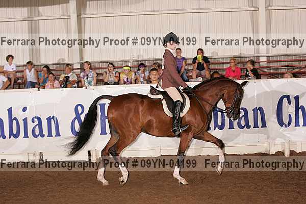 Proof 09yn-04199