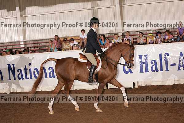 Proof 09yn-04201