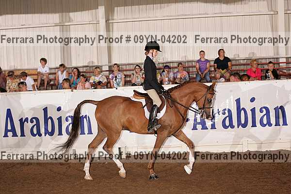 Proof 09yn-04202