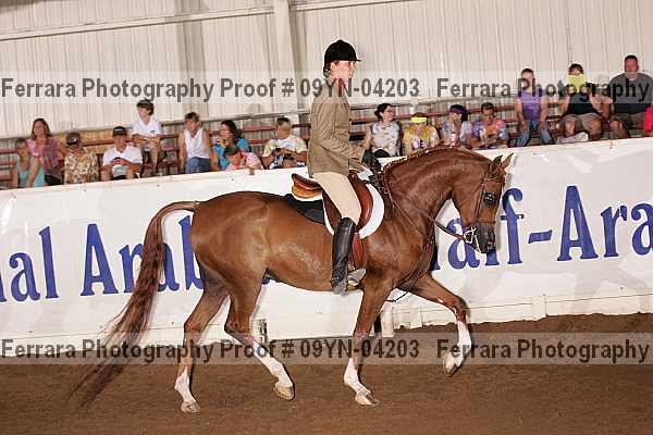 Proof 09yn-04203