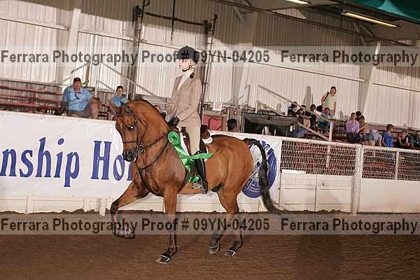 Proof 09yn-04205