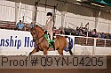 09yn-04205 proof