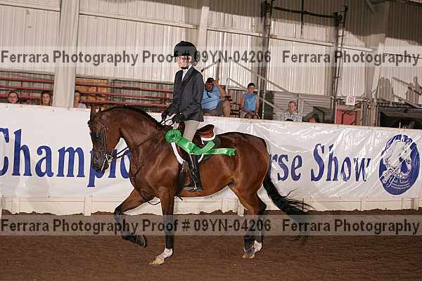 Proof 09yn-04206