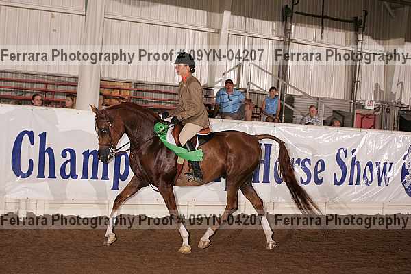 Proof 09yn-04207